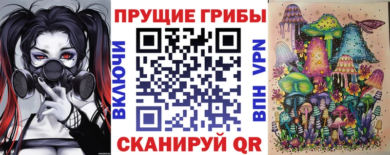 МЕГА сайт  площадка Telegram  Галлюциногенные грибы Psilocybe  как найти   Черепаново 